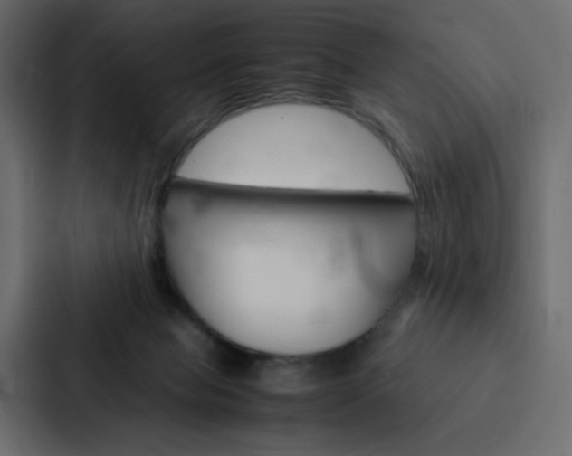 X0000088190077200705151008