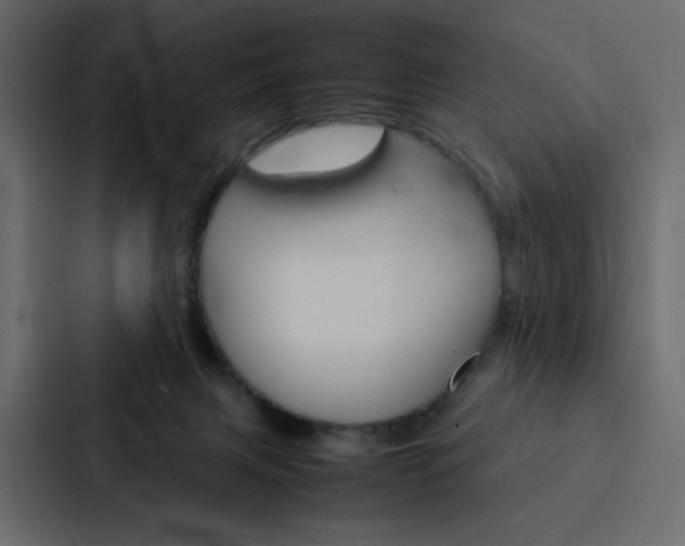 X0000088190079200705151008