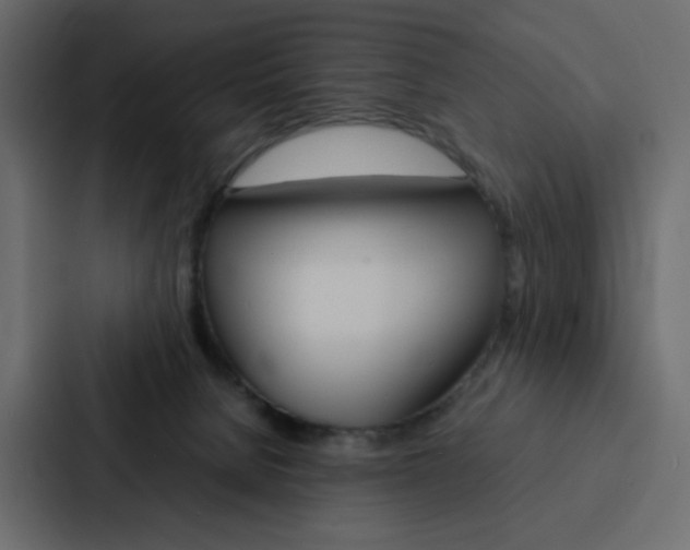 X0000088190080200705151008