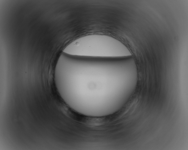 X0000088190081200705151008
