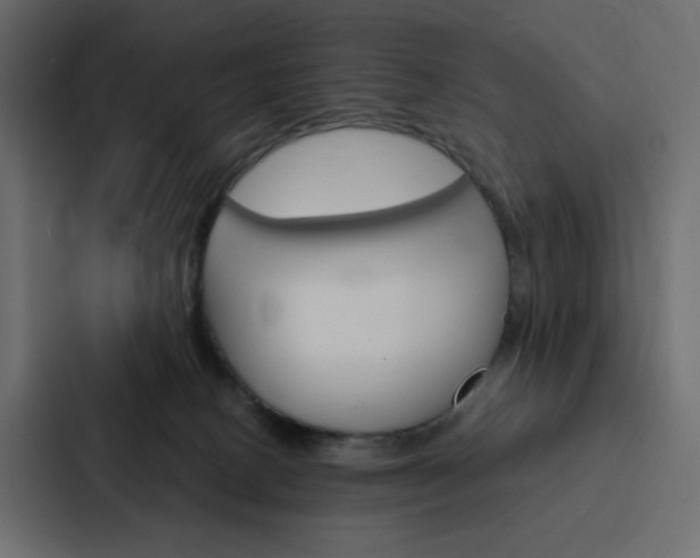 X0000088190082200705151008
