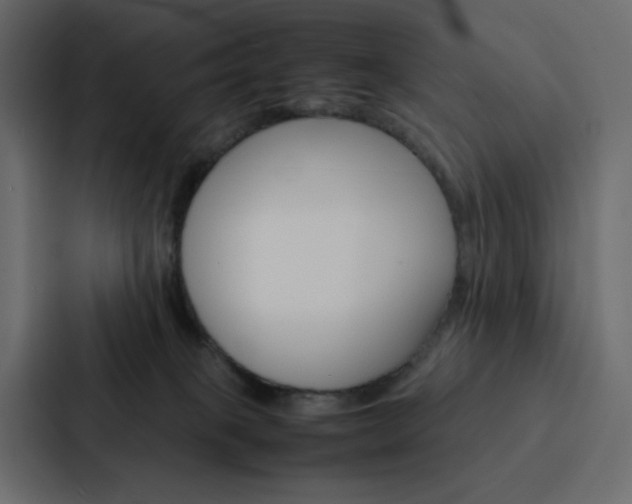 X0000088190085200705151008