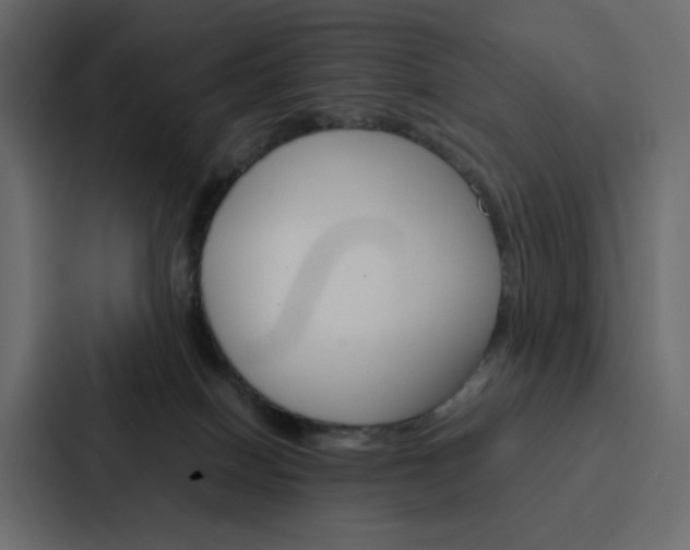 X0000088190086200705151008