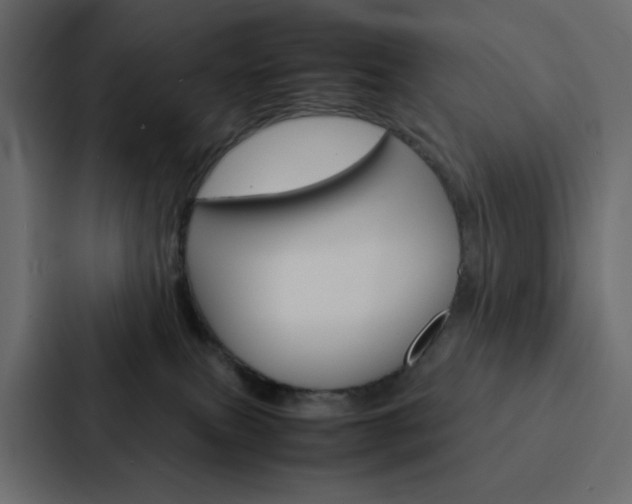 X0000088190087200705151008
