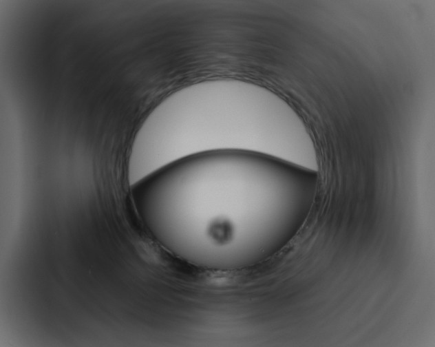 X0000088190088200705151008
