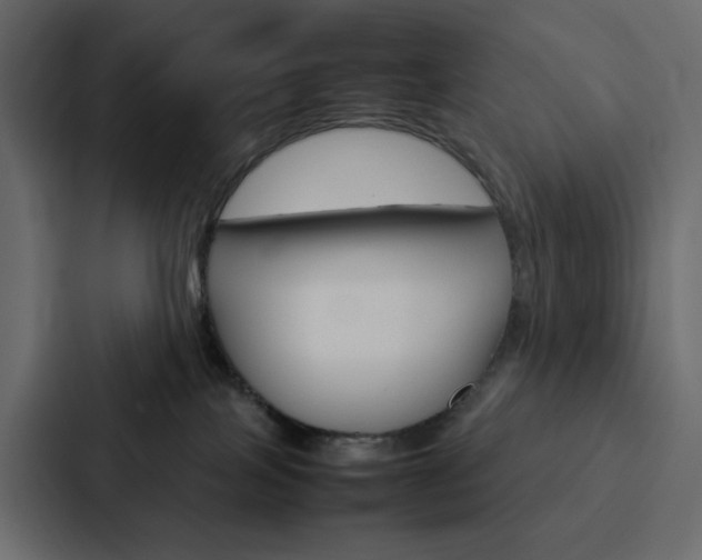 X0000088190089200705151008