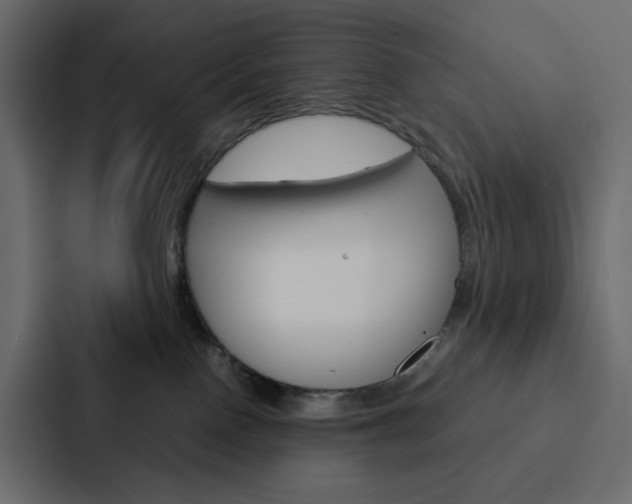 X0000088190090200705151008