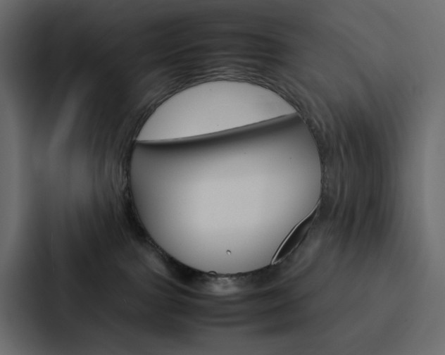 X0000088190091200705151008
