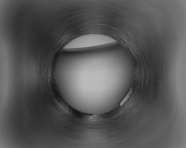 X0000088190092200705151008