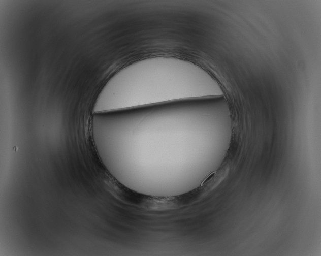 X0000088190093200705151008