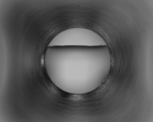 X0000088190095200705151008
