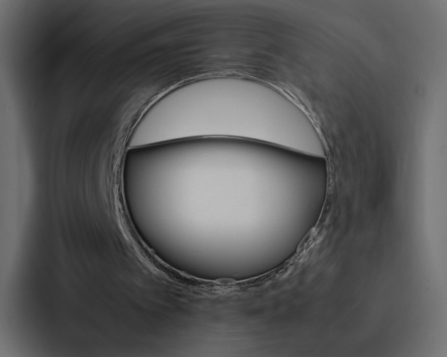 X0000088190097200705151007