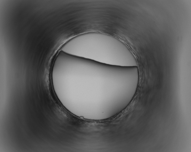 X0000088190098200705151007
