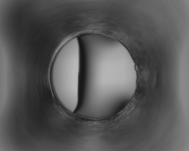 X0000088190100200705151007