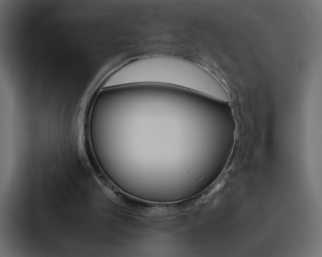 X0000088190101200705151007