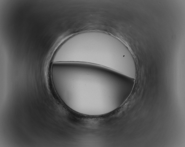 X0000088190103200705151007
