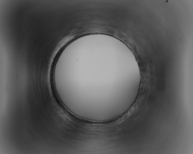 X0000088190104200705151007