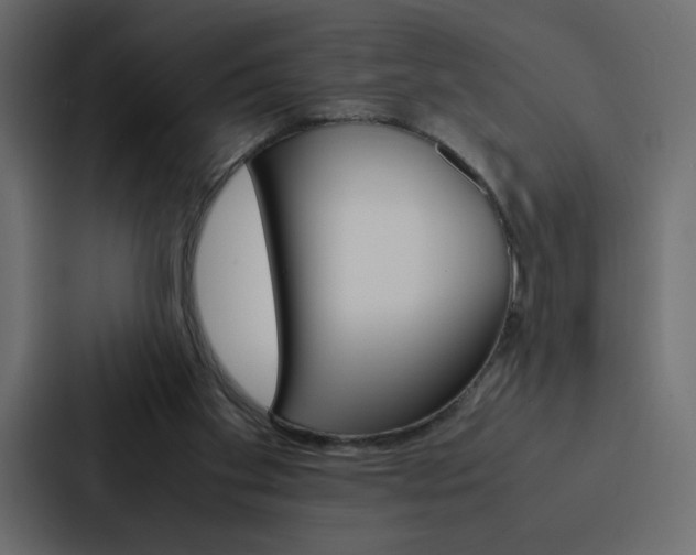 X0000088190109200705151007