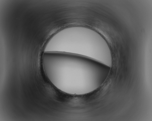 X0000088190111200705151007