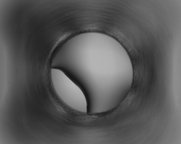 X0000088190112200705151007