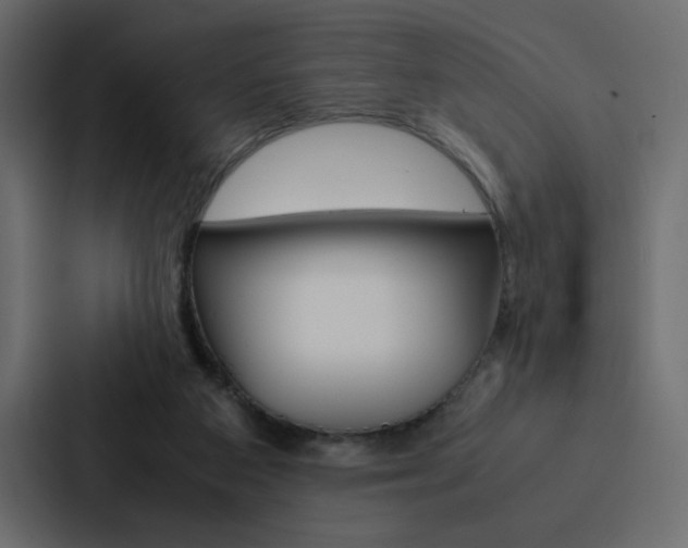 X0000088190113200705151007
