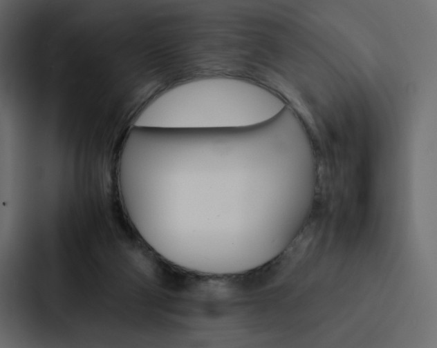 X0000088190114200705151007