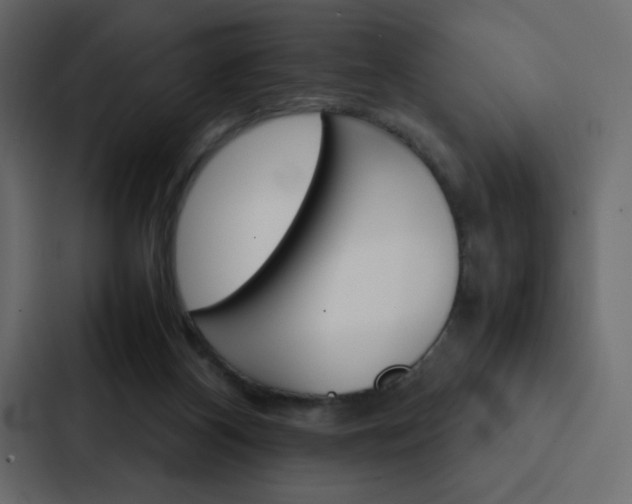 X0000088190116200705151007
