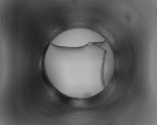 X0000088190118200705151007
