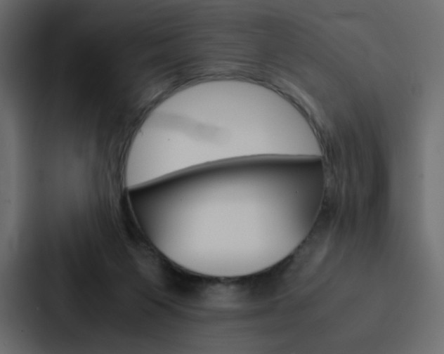 X0000088190119200705151007