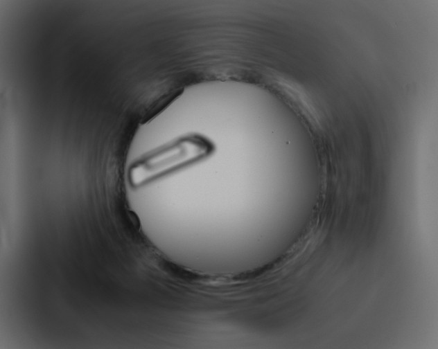 X0000088190121200705151007
