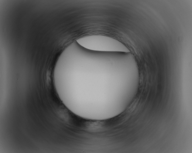 X0000088190122200705151007
