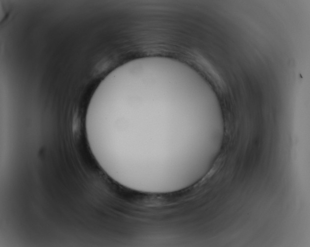 X0000088190124200705151007
