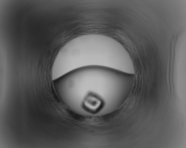 X0000088190125200705151007
