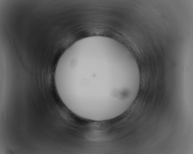 X0000088190126200705151007