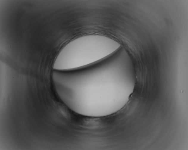 X0000088190132200705151007