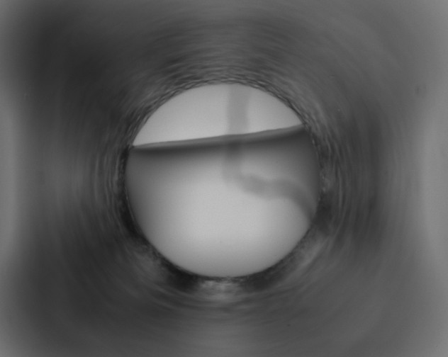 X0000088190133200705151007