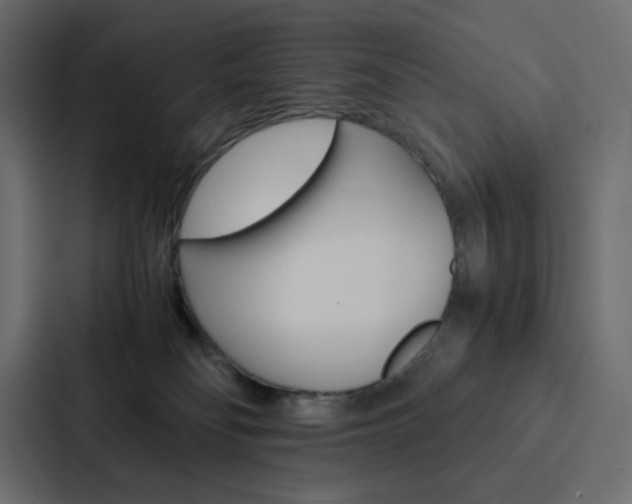 X0000088190134200705151007