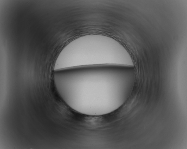 X0000088190135200705151007