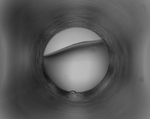 X0000088190137200705151007