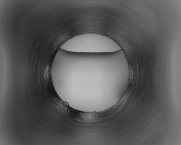 X0000088190142200705151007
