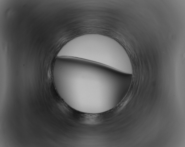 X0000088190143200705151007