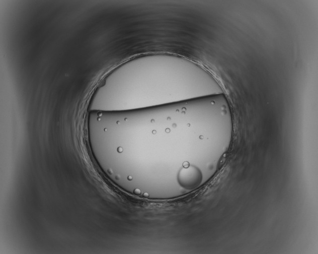 X0000088190145200705151006