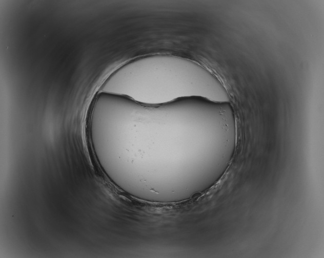 X0000088190147200705151006
