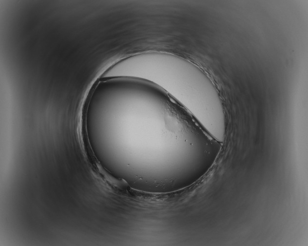X0000088190148200705151006