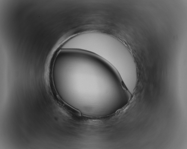 X0000088190150200705151006
