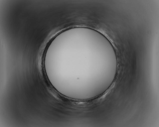 X0000088190151200705151006