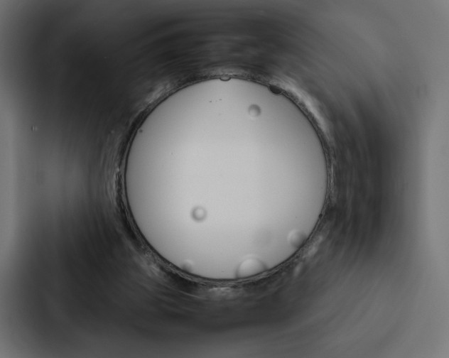 X0000088190153200705151006