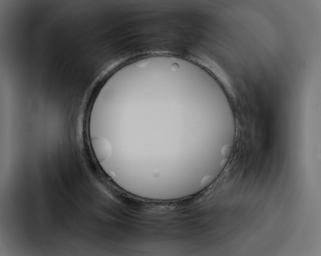 X0000088190155200705151006