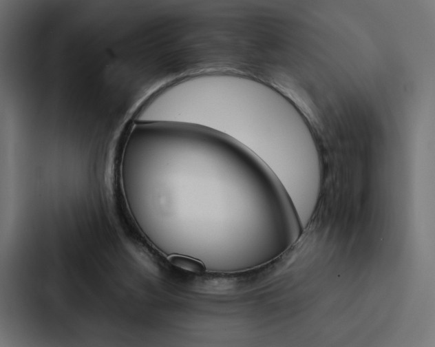 X0000088190156200705151006