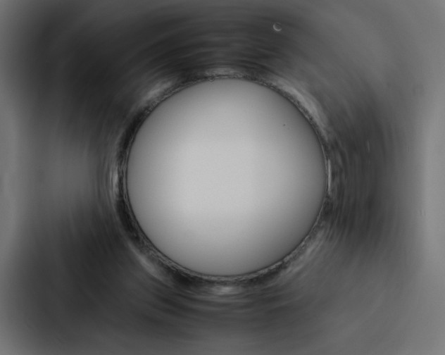 X0000088190157200705151006